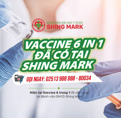 VACCINE 6 TRONG 1