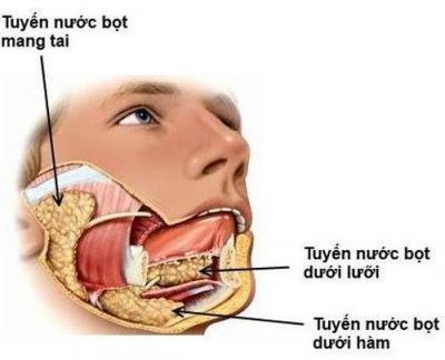 U ĐA HÌNH TUYẾN MANG